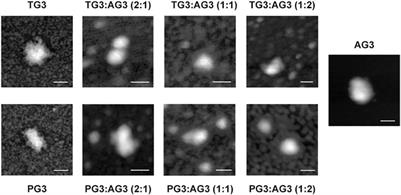 Dendriplex-Impregnated Hydrogels With Programmed Release Rate